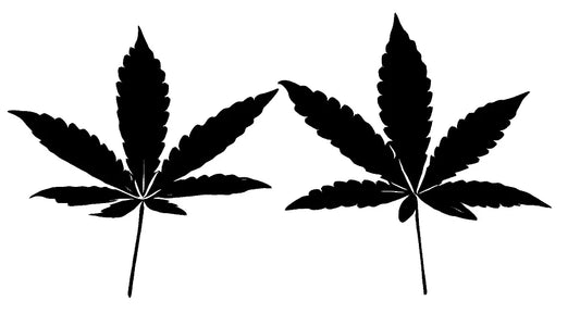 European Cannabis 2023