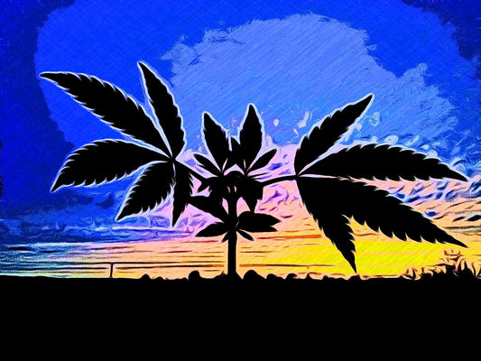 A Summary and History of Cannabis Consumption