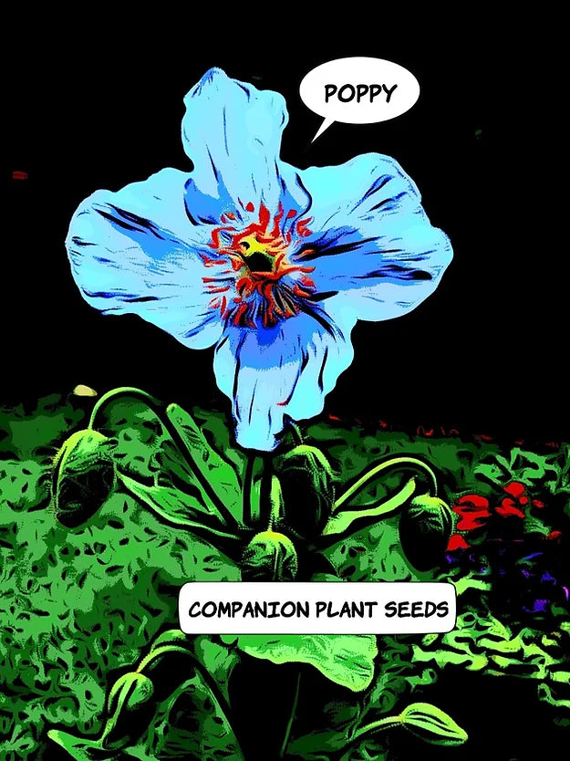 Happy's Blue Poppy Seeds