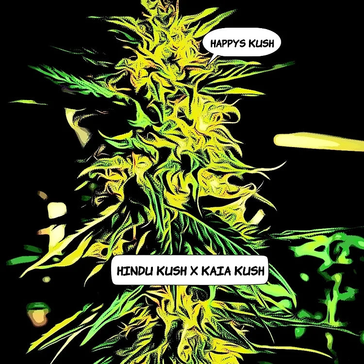 Happy's Kush Cannabis Variety Seeds