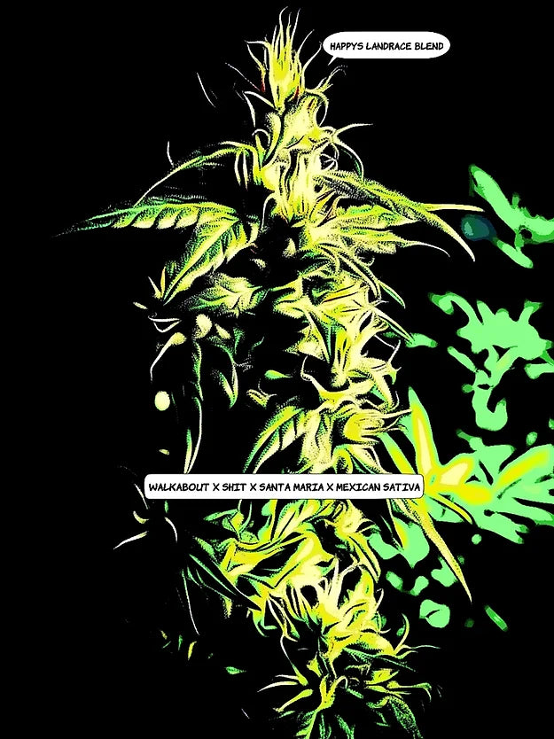 Happy's Landrace Blend Cannabis Variety Seeds