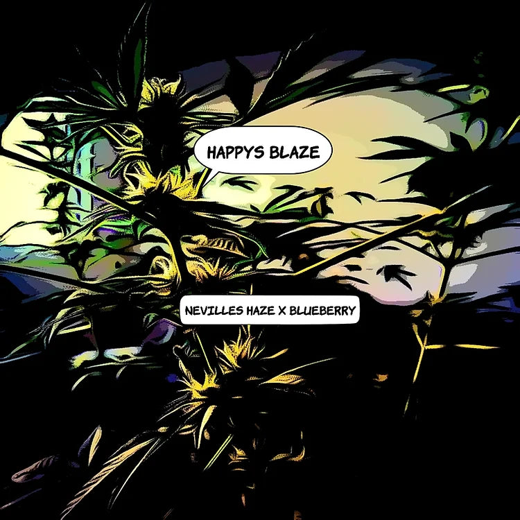 Happy's Blaze Cannabis Variety Seeds