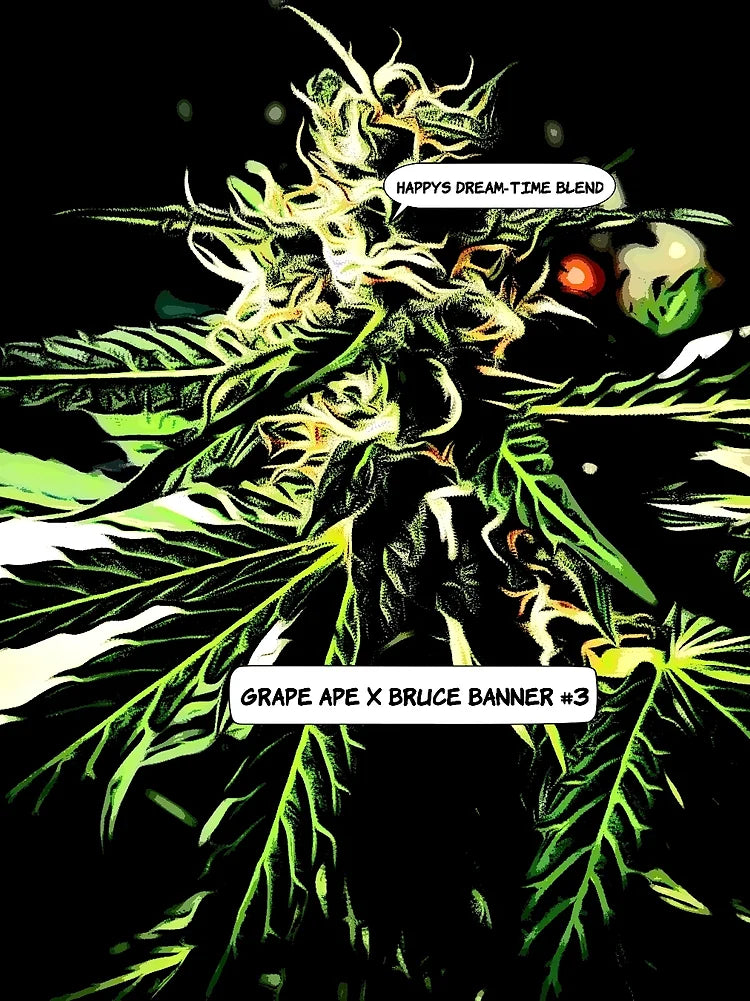 Happy's Dream-Time Blend Cannabis Variety Seeds