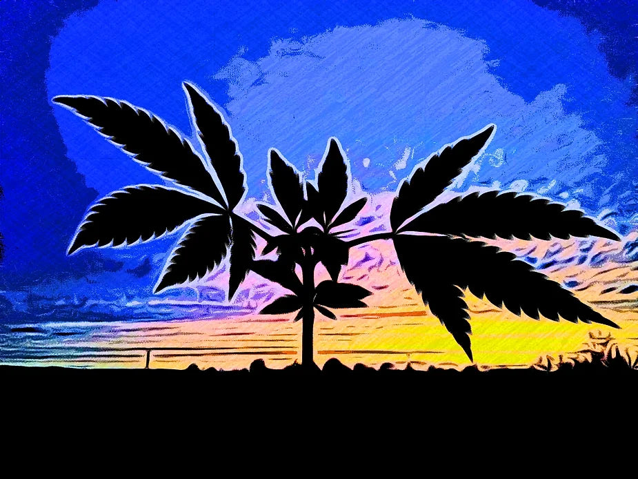 A Summary and History of Cannabis Consumption