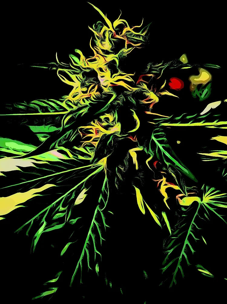 Happy's Dream-Time Blend Cannabis Variety Seeds