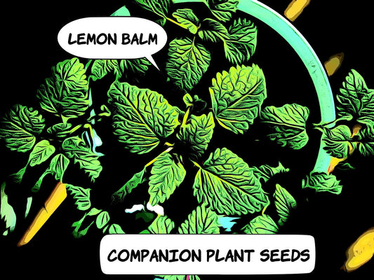 Happy's Lemon Balm Seeds