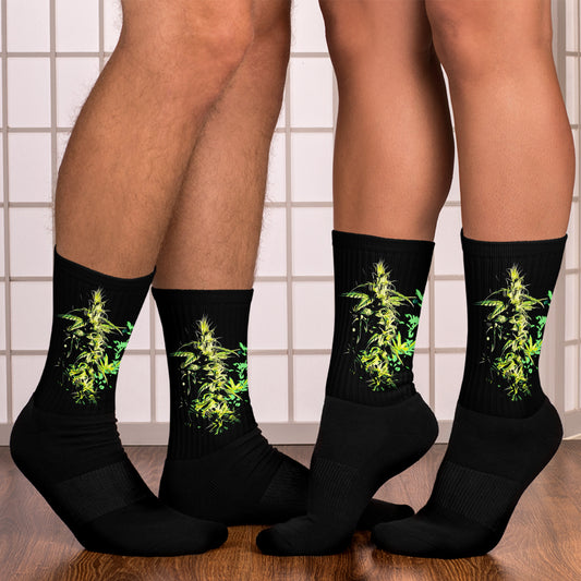 Happy's Landrace Blend Cannabis Variety Socks
