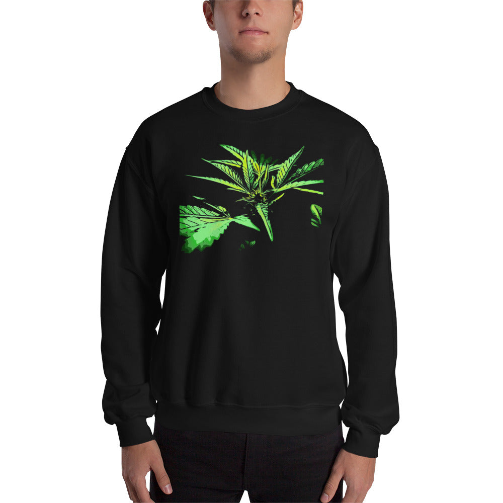 Close Up Praying Cannabis Plant Unisex Sweatshirt