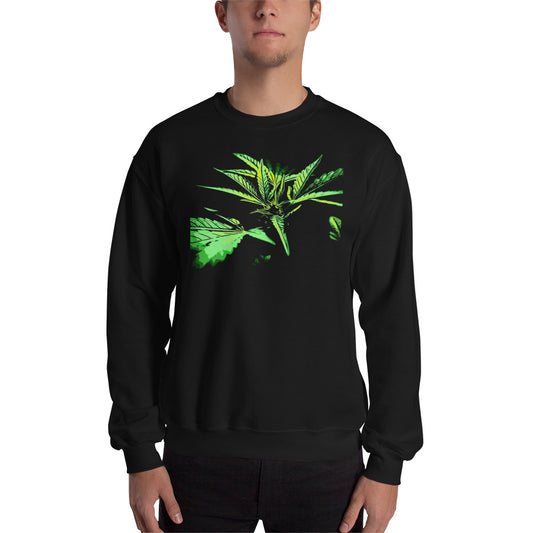 Close Up Praying Cannabis Plant Unisex Sweatshirt