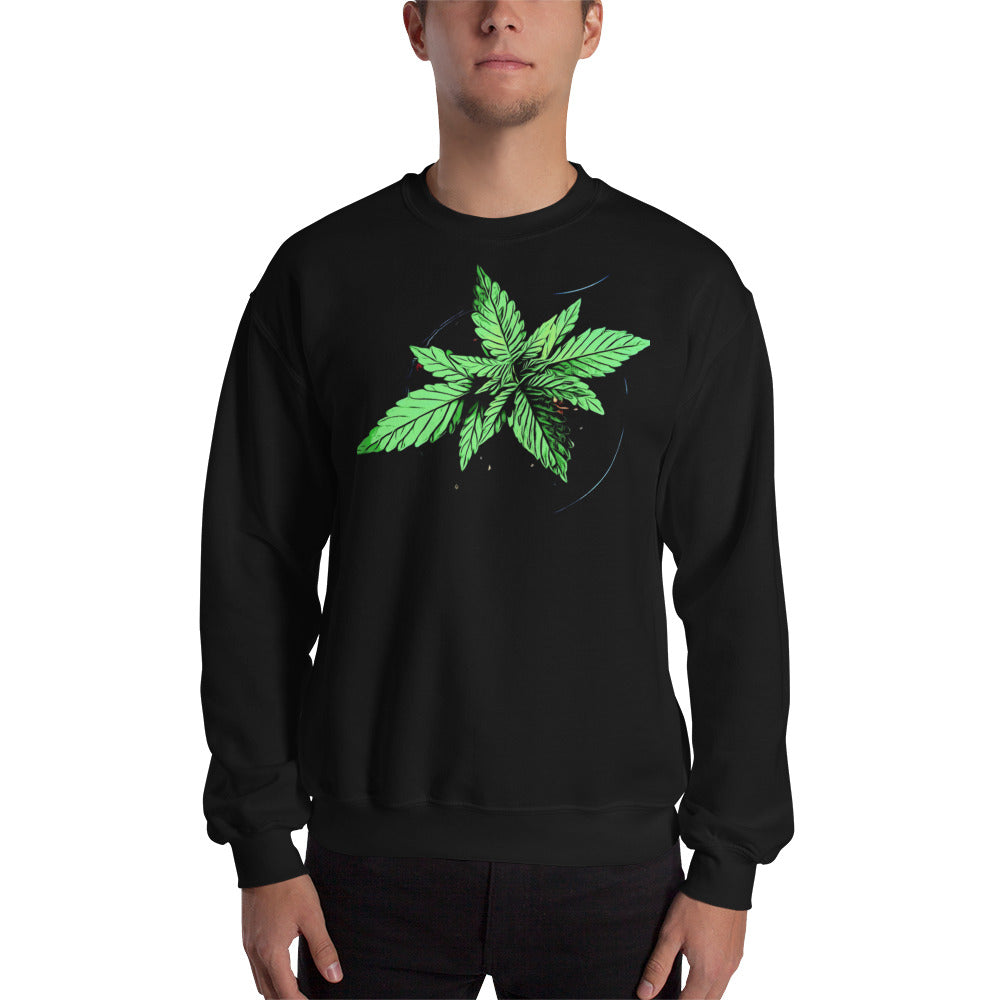 Young Broad Leaf Cannabis Plant Unisex Sweatshirt