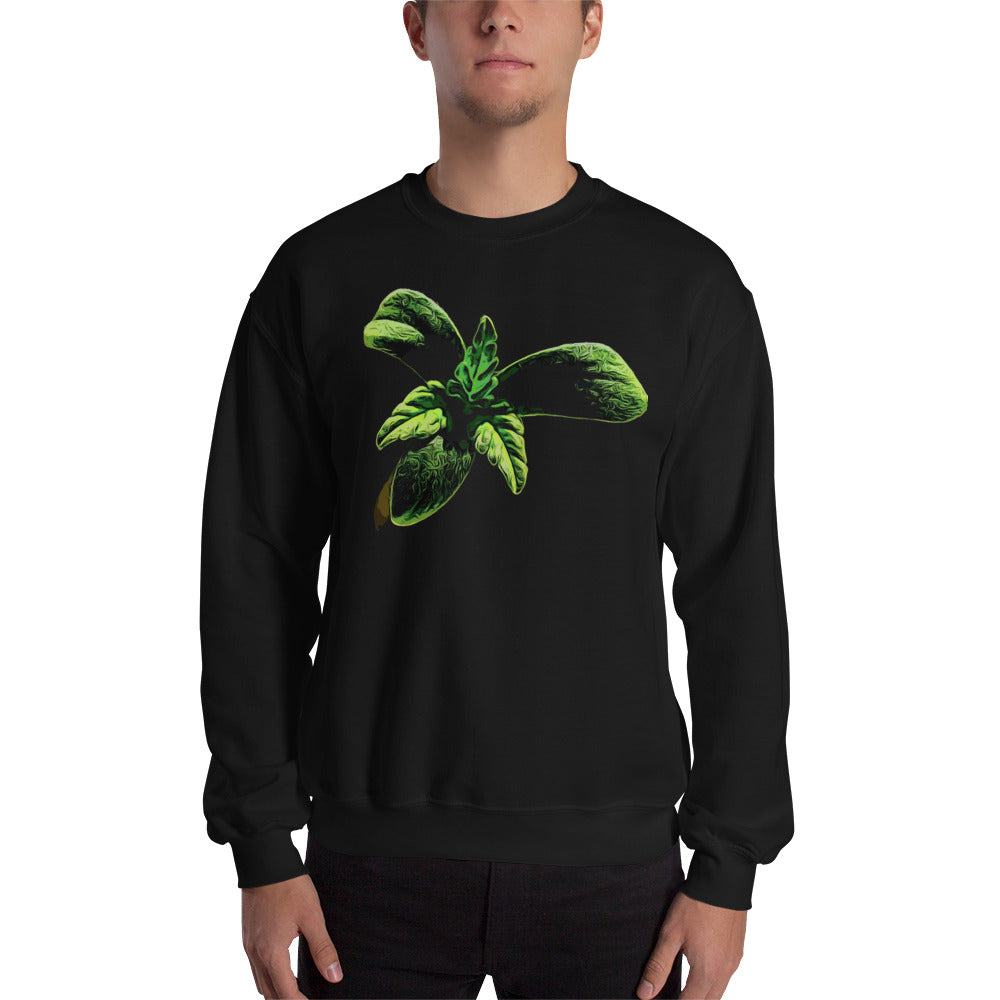 3 Leaf Trifoliate Cannabis Seedling Unisex Sweatshirt