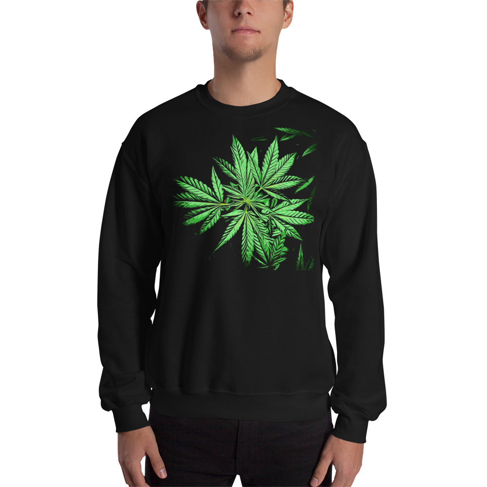 Early Flowering Cannabis Plant Unisex Sweatshirt