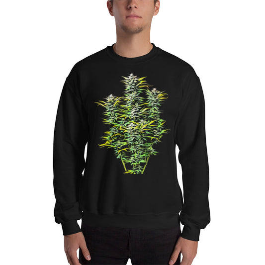 Whole Flowering Cannabis Plant Unisex