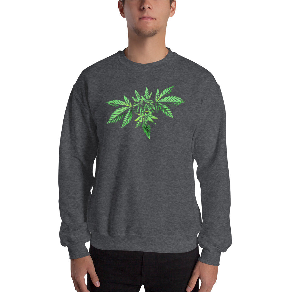 Symmetrical Leaf Cannabis Plant Unisex Sweatshirt