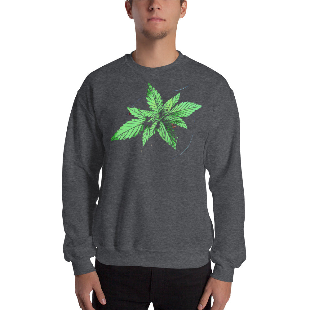 Young Broad Leaf Cannabis Plant Unisex Sweatshirt