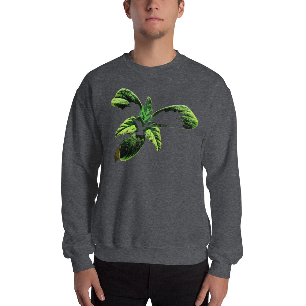 3 Leaf Trifoliate Cannabis Seedling Unisex Sweatshirt