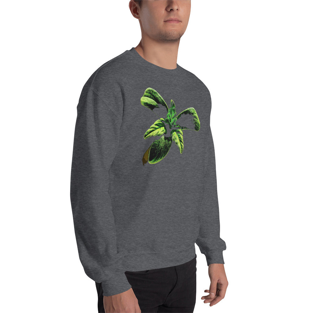 3 Leaf Trifoliate Cannabis Seedling Unisex Sweatshirt