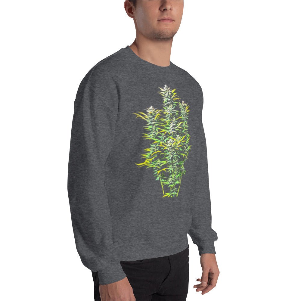 Whole Flowering Cannabis Plant Unisex