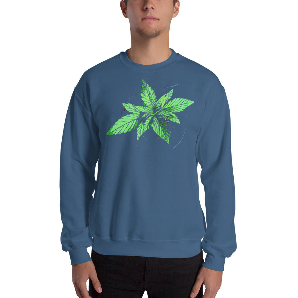 Young Broad Leaf Cannabis Plant Unisex Sweatshirt