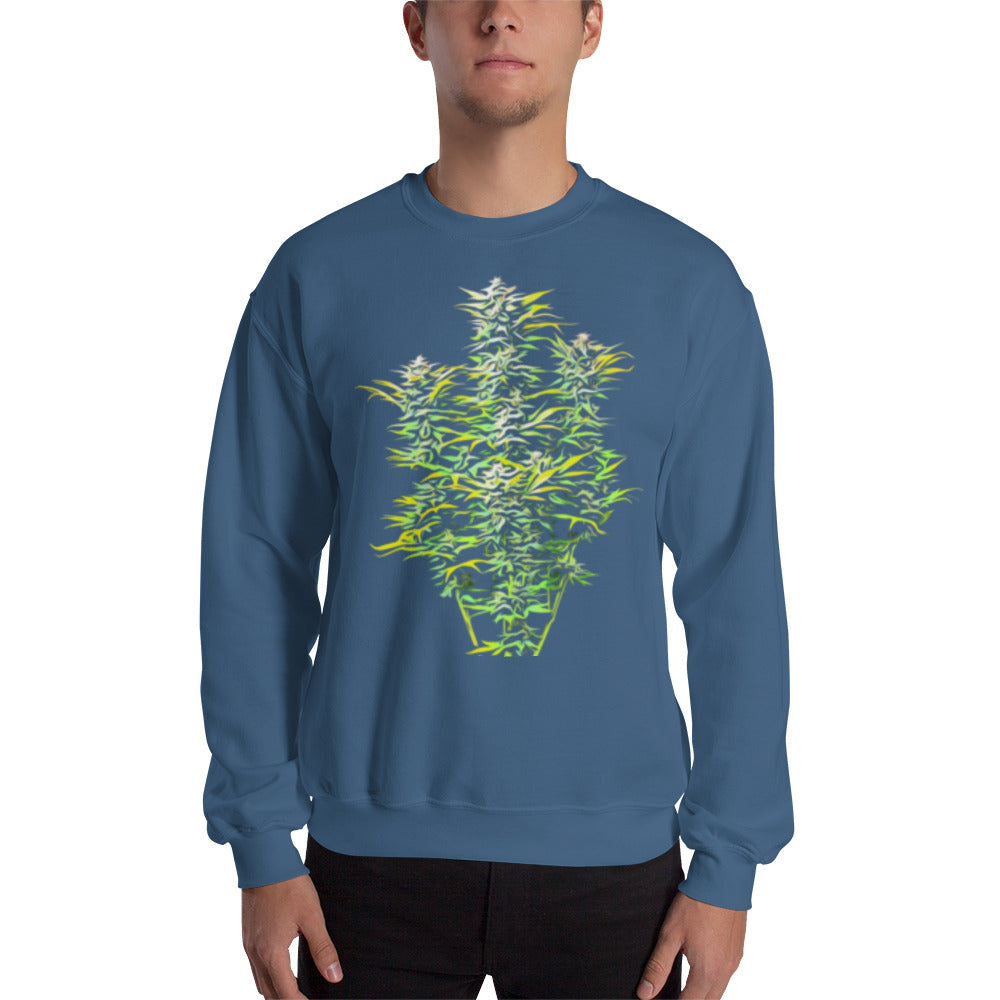 Whole Flowering Cannabis Plant Unisex