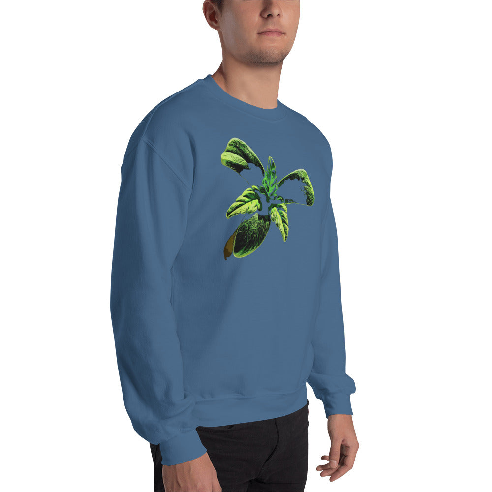 3 Leaf Trifoliate Cannabis Seedling Unisex Sweatshirt