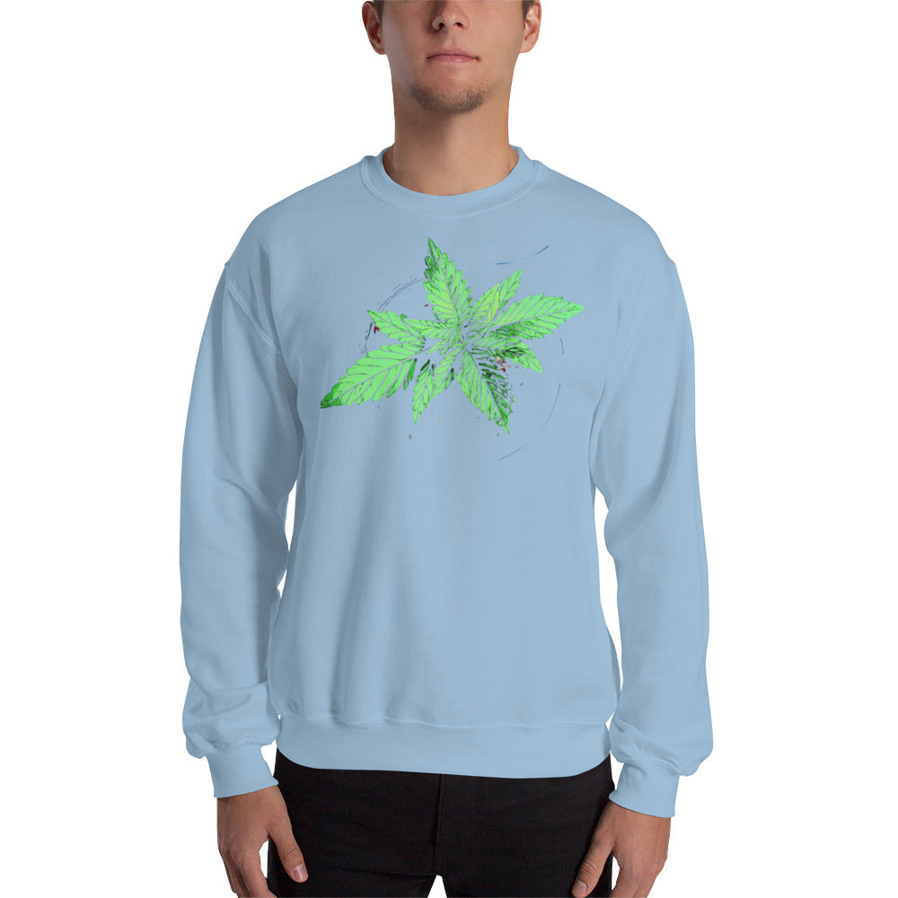 Young Broad Leaf Cannabis Plant Unisex Sweatshirt