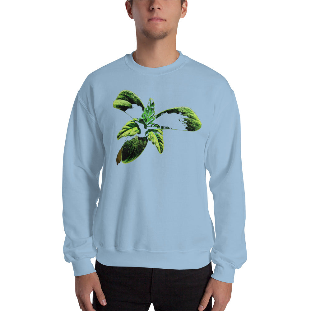 3 Leaf Trifoliate Cannabis Seedling Unisex Sweatshirt