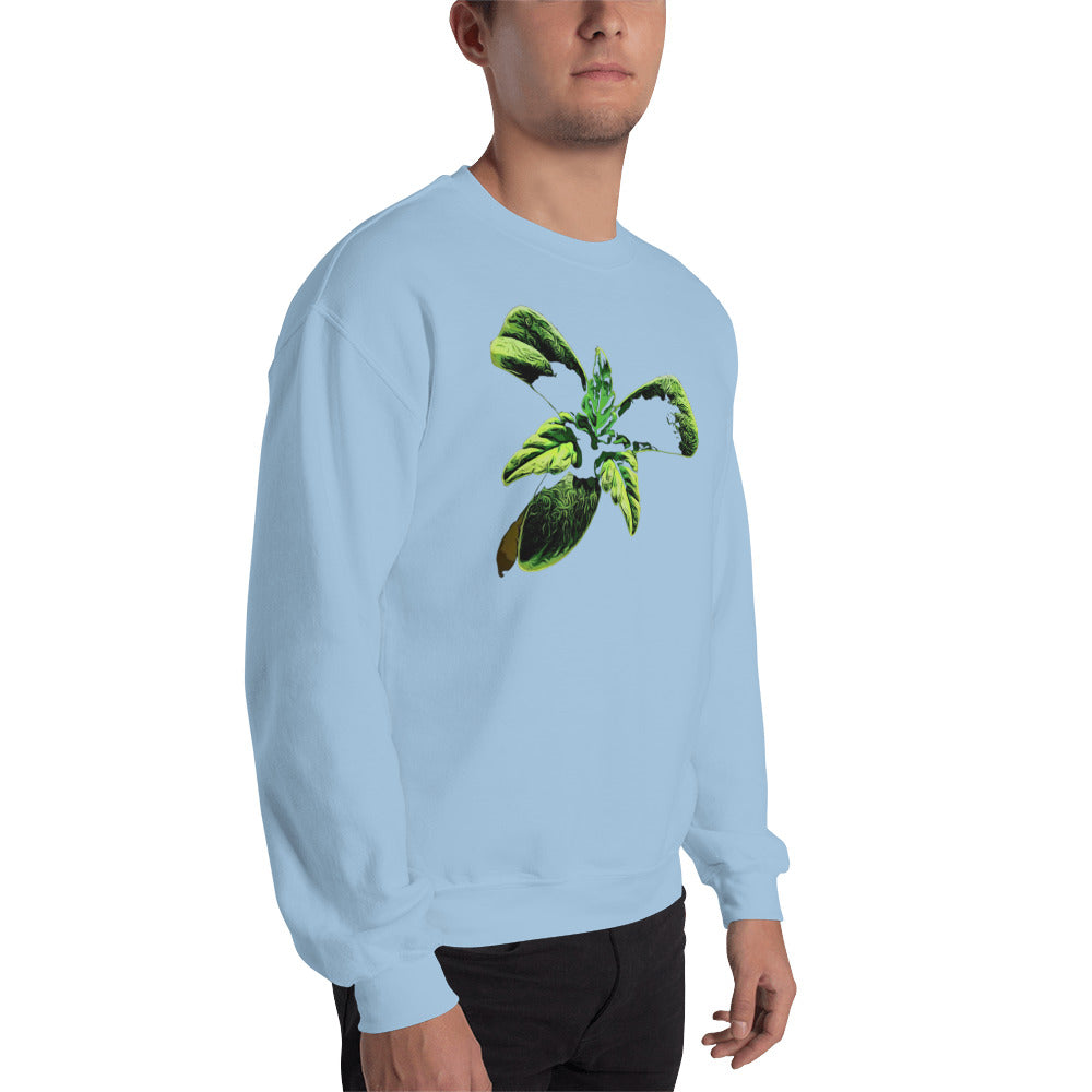 3 Leaf Trifoliate Cannabis Seedling Unisex Sweatshirt