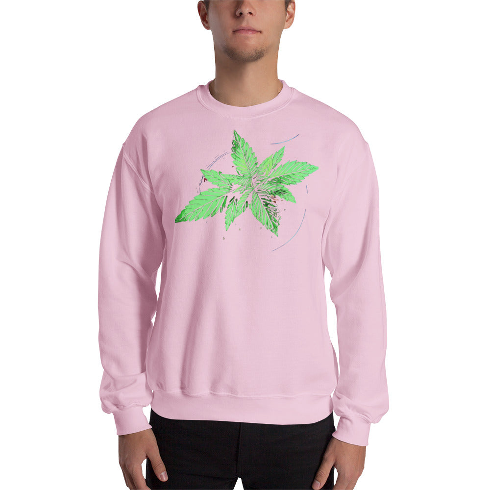 Young Broad Leaf Cannabis Plant Unisex Sweatshirt