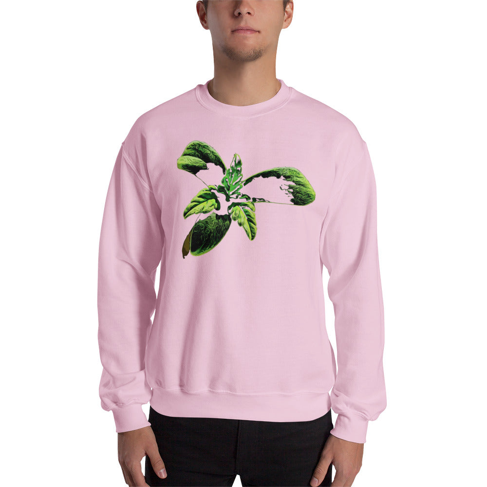 3 Leaf Trifoliate Cannabis Seedling Unisex Sweatshirt