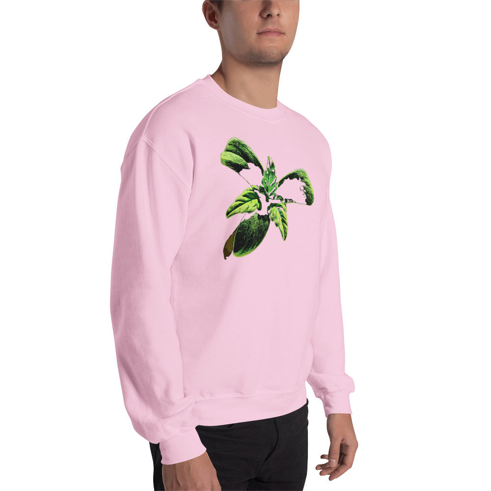 3 Leaf Trifoliate Cannabis Seedling Unisex Sweatshirt