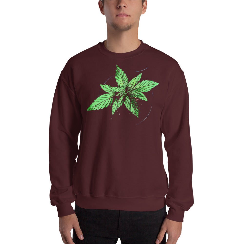 Young Broad Leaf Cannabis Plant Unisex Sweatshirt