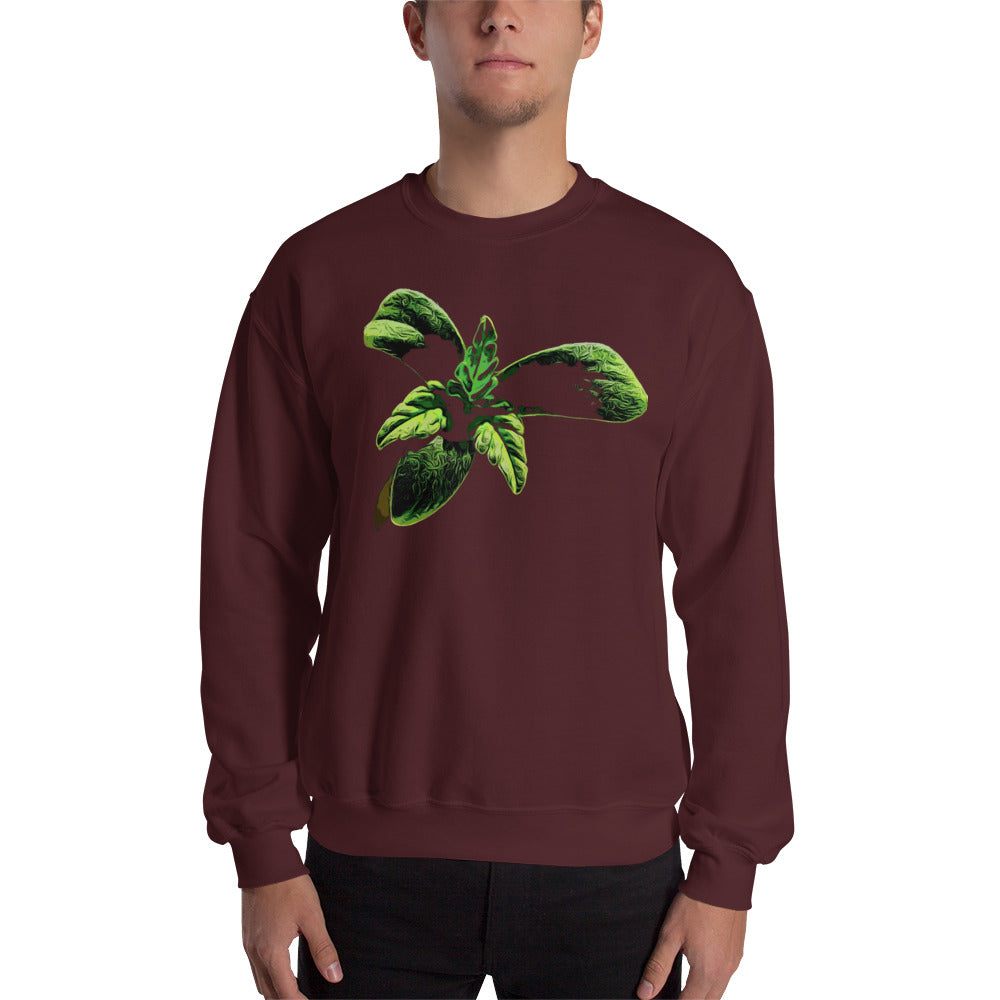 3 Leaf Trifoliate Cannabis Seedling Unisex Sweatshirt