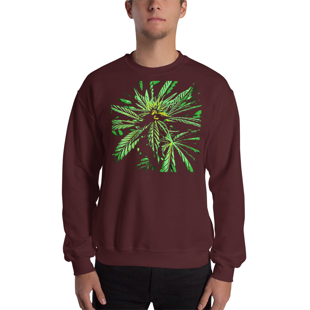 Seeded Flowering Cannabis Plant Unisex Sweatshirt