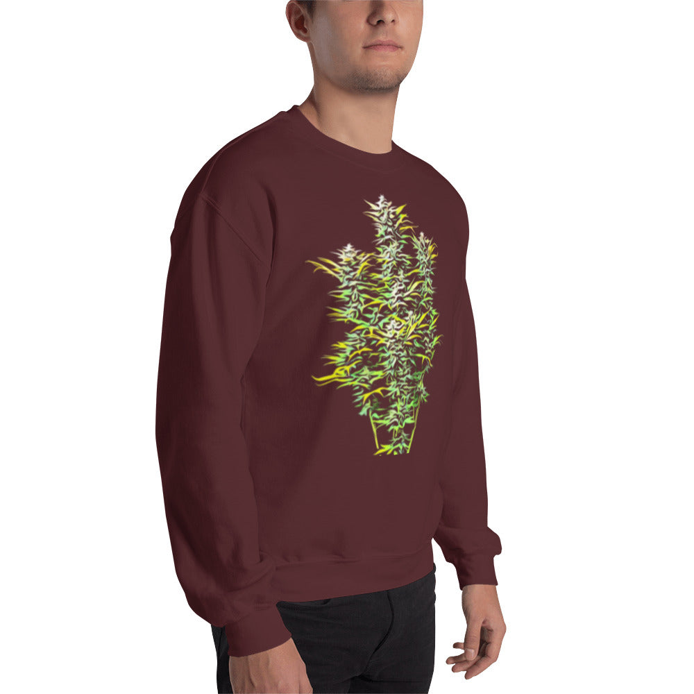 Whole Flowering Cannabis Plant Unisex