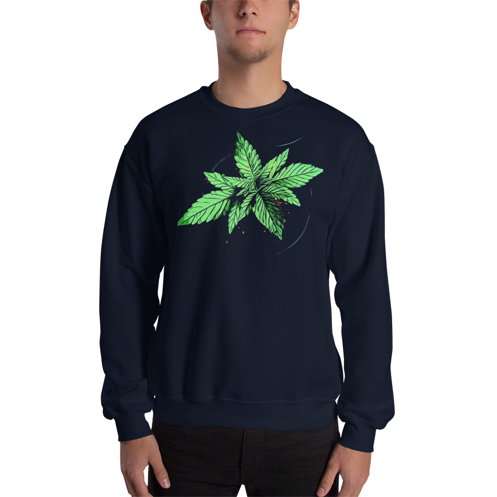 Young Broad Leaf Cannabis Plant Unisex Sweatshirt
