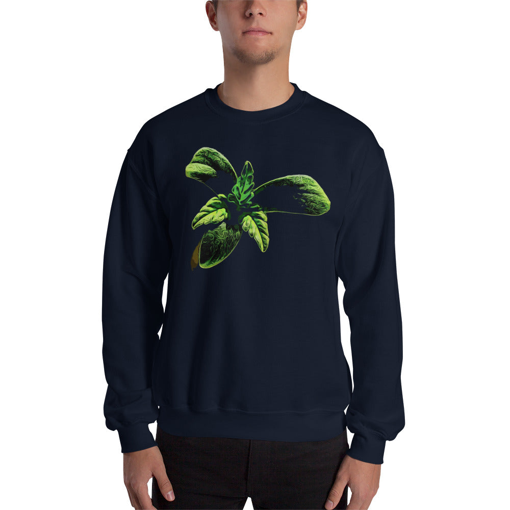 3 Leaf Trifoliate Cannabis Seedling Unisex Sweatshirt