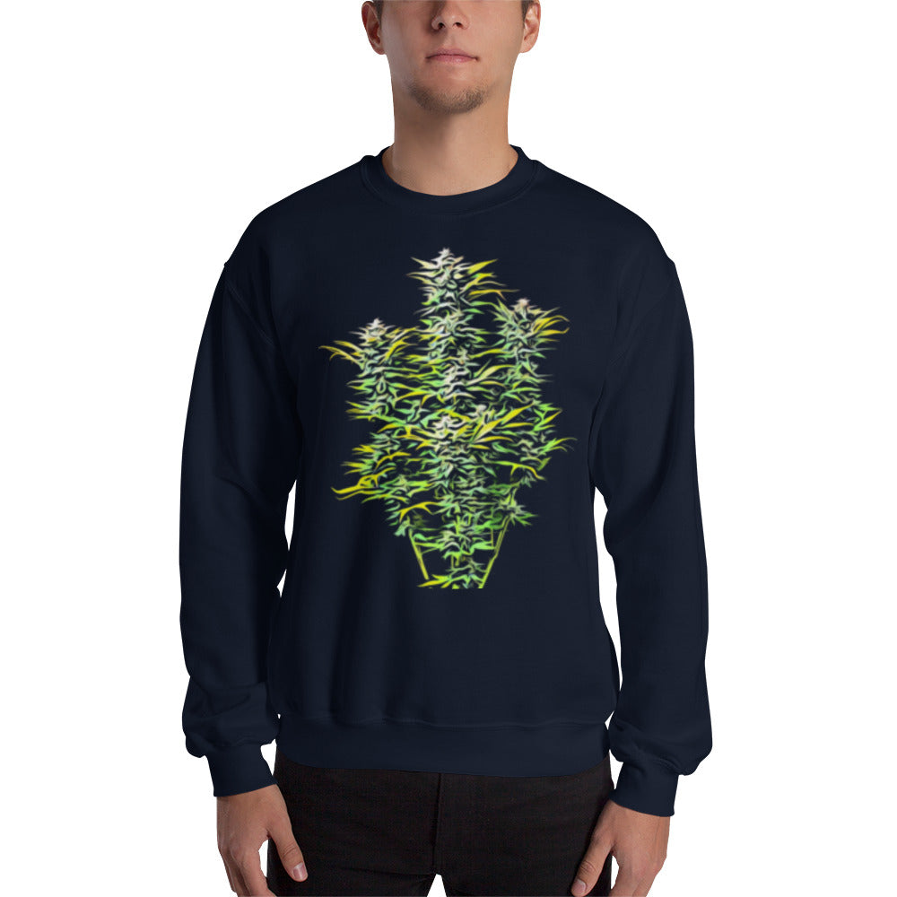 Whole Flowering Cannabis Plant Unisex