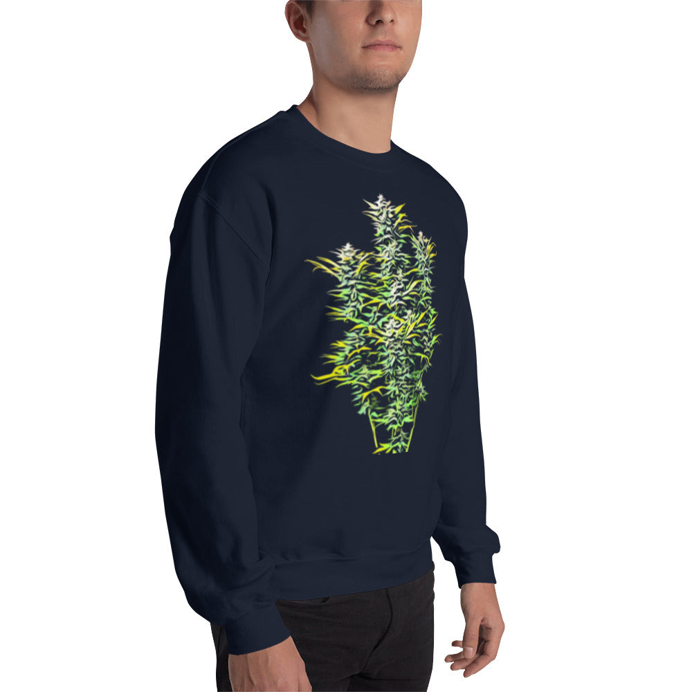 Whole Flowering Cannabis Plant Unisex