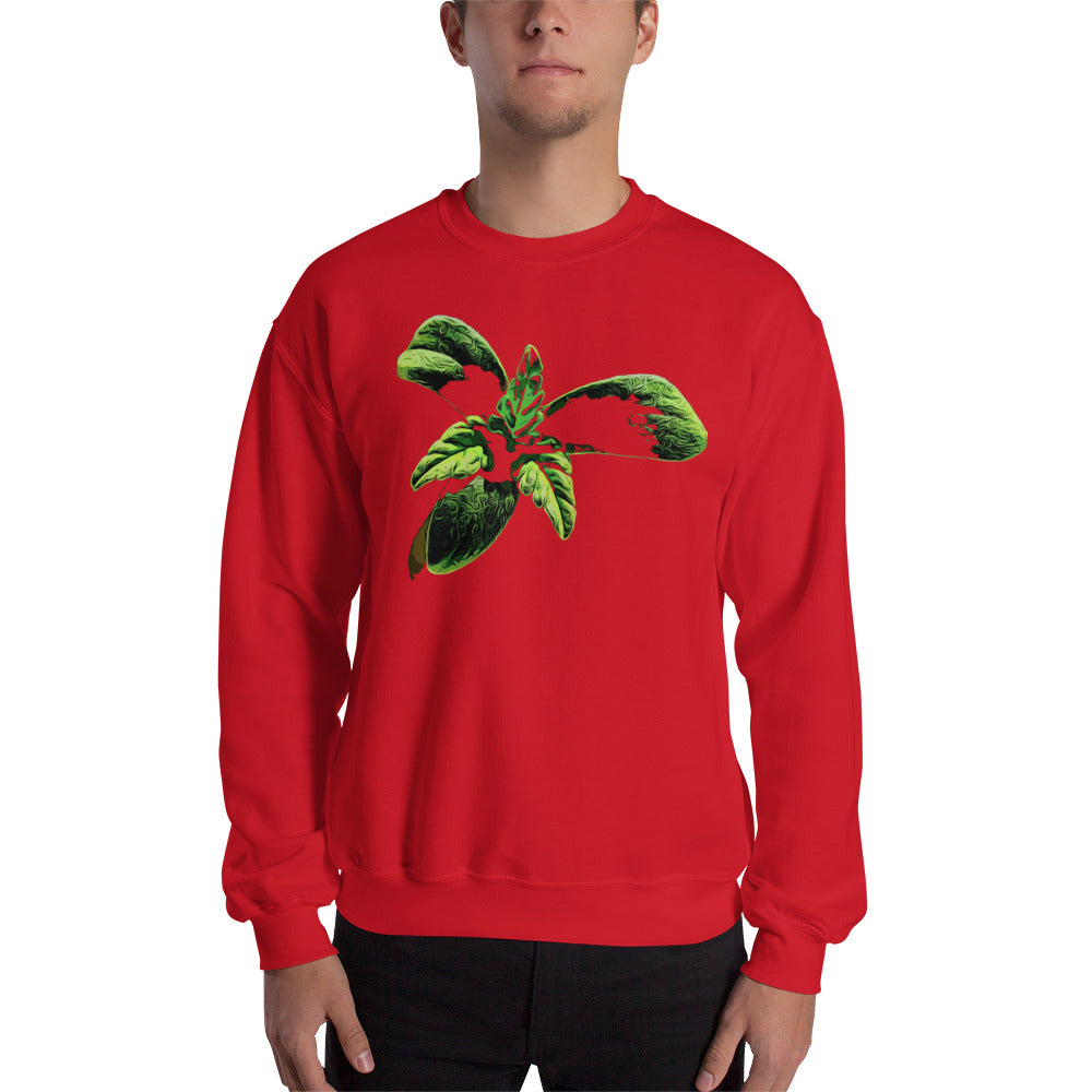3 Leaf Trifoliate Cannabis Seedling Unisex Sweatshirt