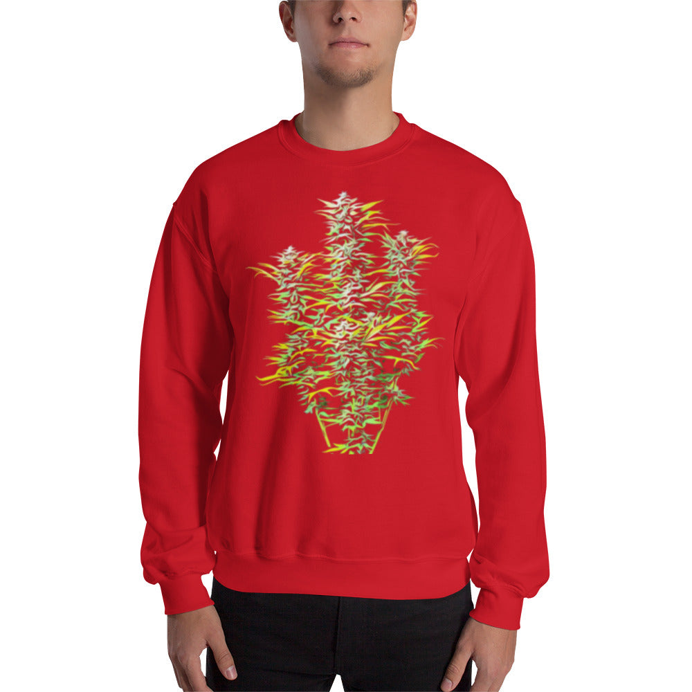 Whole Flowering Cannabis Plant Unisex