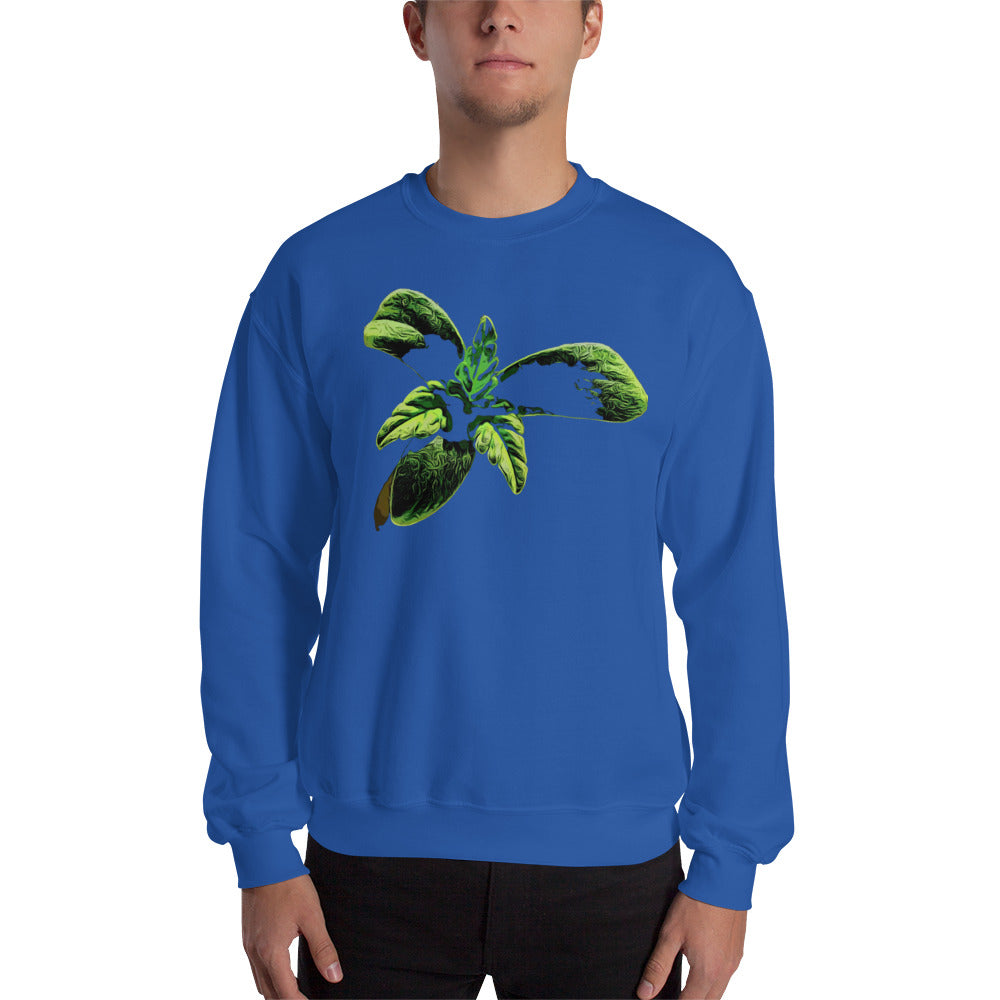 3 Leaf Trifoliate Cannabis Seedling Unisex Sweatshirt