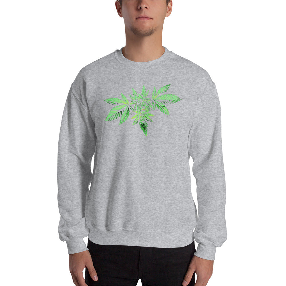 Symmetrical Leaf Cannabis Plant Unisex Sweatshirt
