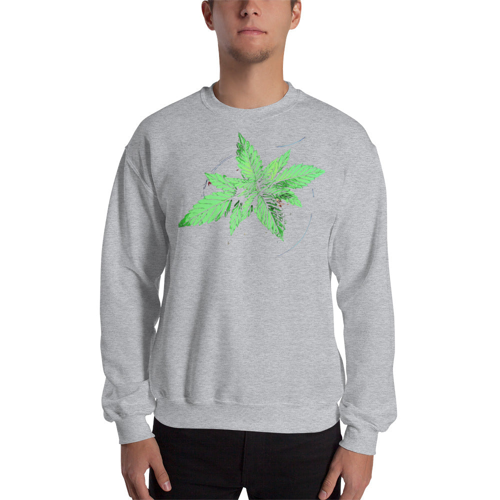 Young Broad Leaf Cannabis Plant Unisex Sweatshirt