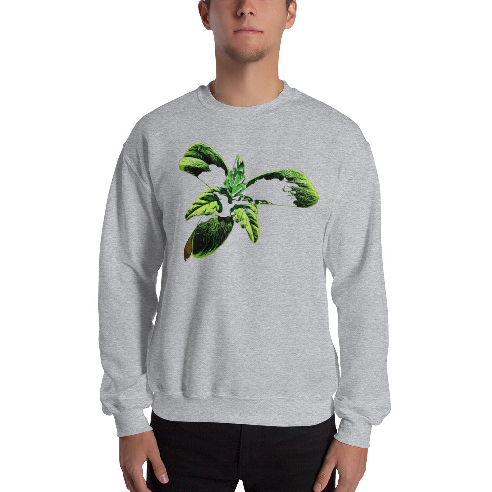 3 Leaf Trifoliate Cannabis Seedling Unisex Sweatshirt