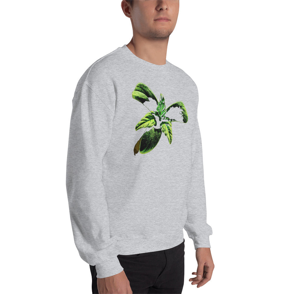 3 Leaf Trifoliate Cannabis Seedling Unisex Sweatshirt