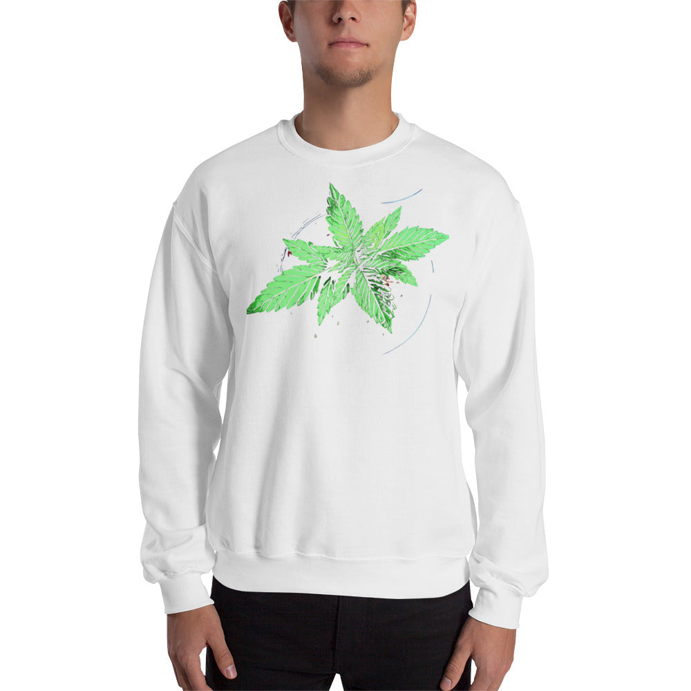 Young Broad Leaf Cannabis Plant Unisex Sweatshirt