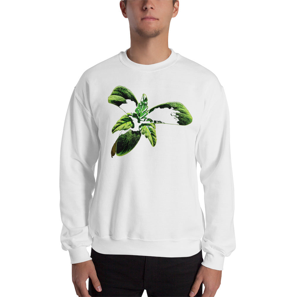 3 Leaf Trifoliate Cannabis Seedling Unisex Sweatshirt