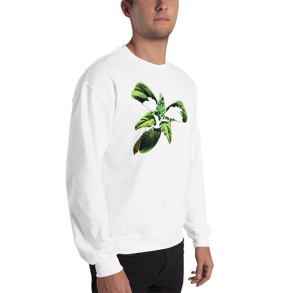 3 Leaf Trifoliate Cannabis Seedling Unisex Sweatshirt